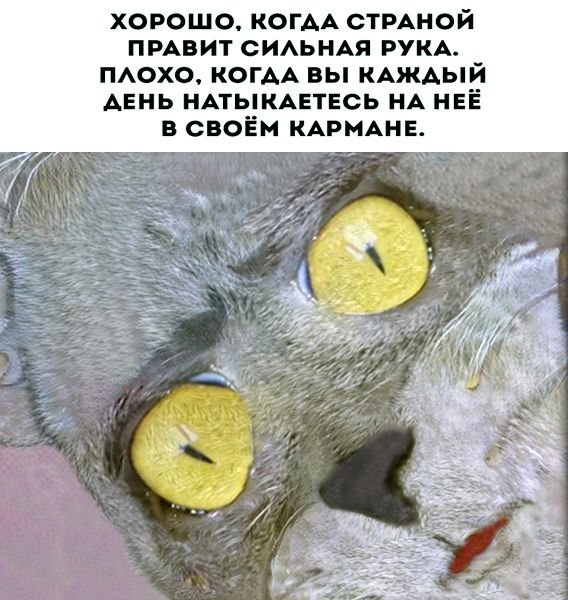 Кладези