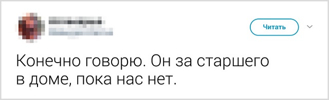 Пользователи рассказали, как они прощаются со своими котиками перед тем, как выйти из дома