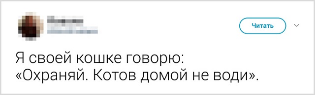 Пользователи рассказали, как они прощаются со своими котиками перед тем, как выйти из дома