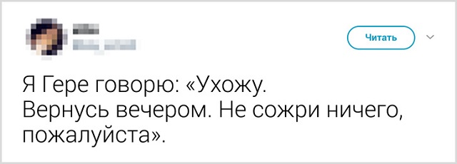 Пользователи рассказали, как они прощаются со своими котиками перед тем, как выйти из дома