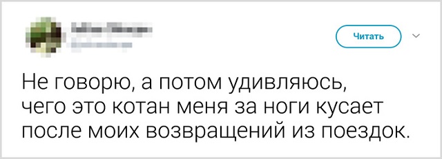 Пользователи рассказали, как они прощаются со своими котиками перед тем, как выйти из дома