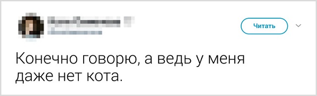 Пользователи рассказали, как они прощаются со своими котиками перед тем, как выйти из дома