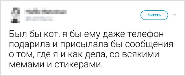 Пользователи рассказали, как они прощаются со своими котиками перед тем, как выйти из дома