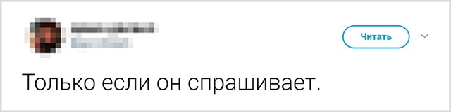 Пользователи рассказали, как они прощаются со своими котиками перед тем, как выйти из дома