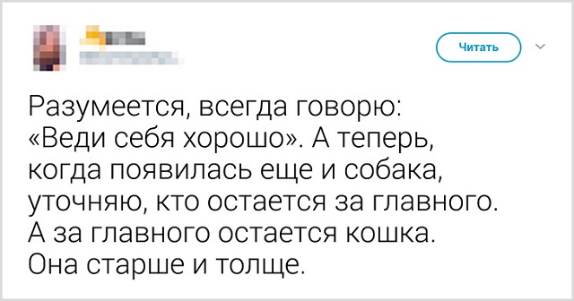 Пользователи рассказали, как они прощаются со своими котиками перед тем, как выйти из дома