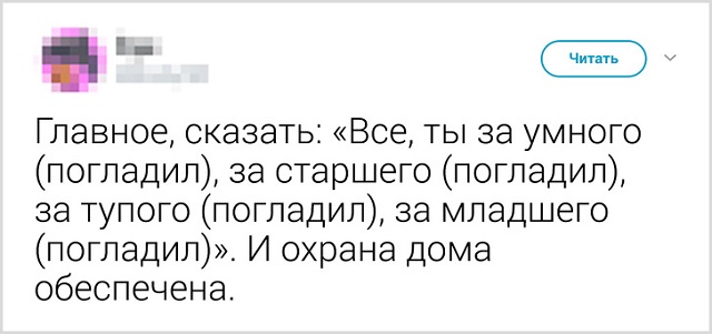 Пользователи рассказали, как они прощаются со своими котиками перед тем, как выйти из дома