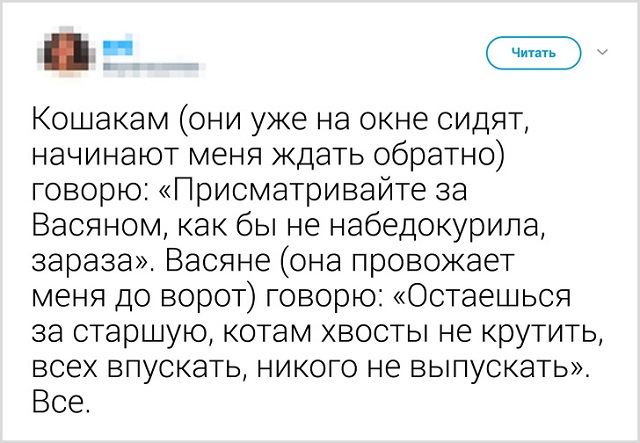 Пользователи рассказали, как они прощаются со своими котиками перед тем, как выйти из дома