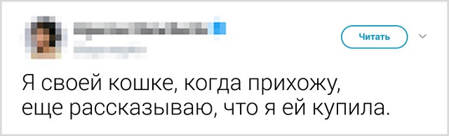 Пользователи рассказали, как они прощаются со своими котиками перед тем, как выйти из дома