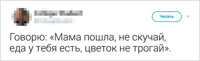 Пользователи рассказали, как они прощаются со своими котиками перед тем, как выйти из дома