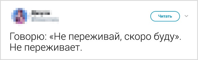 Пользователи рассказали, как они прощаются со своими котиками перед тем, как выйти из дома