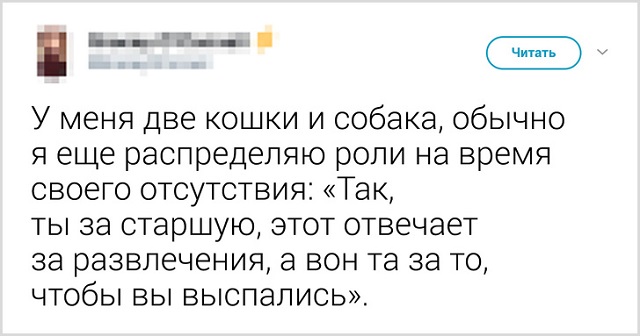 Пользователи рассказали, как они прощаются со своими котиками перед тем, как выйти из дома