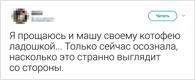 Пользователи рассказали, как они прощаются со своими котиками перед тем, как выйти из дома