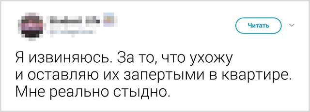 Пользователи рассказали, как они прощаются со своими котиками перед тем, как выйти из дома