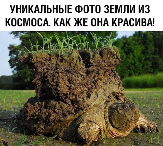 Прикольчики