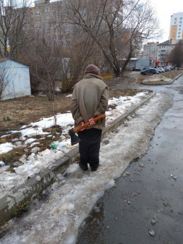 Вестник социальных сетей