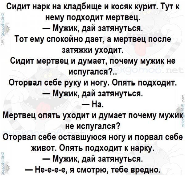 Лучшие анекдоты