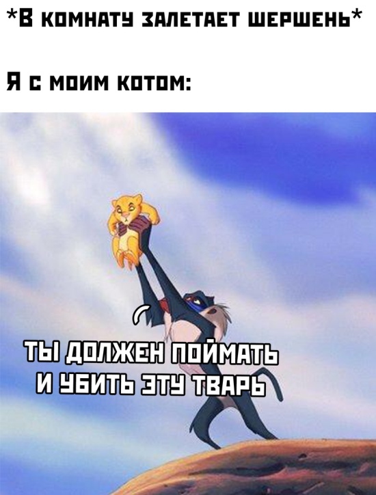 Прикольчики