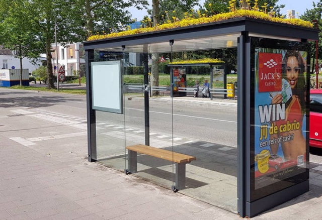 Как автобусные остановки в Нидерландах помогают спасти пчел