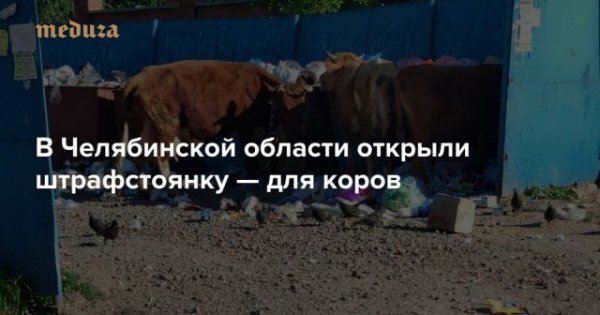 Удивительные снимки с российских просторов