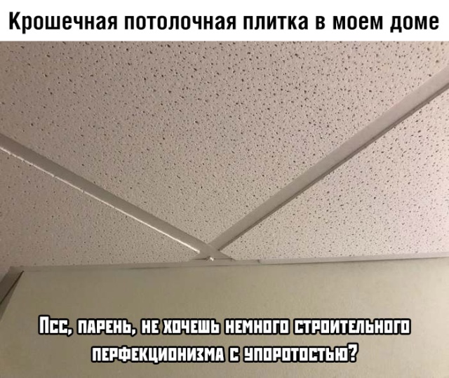 Прикольчики