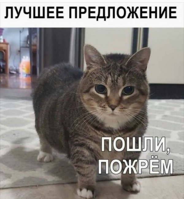 Умные мюсли