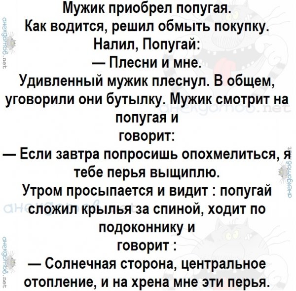 Лучшие анекдоты