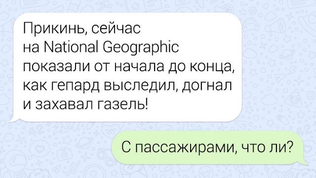 Забавные переписки людей, которых неправильно поняли