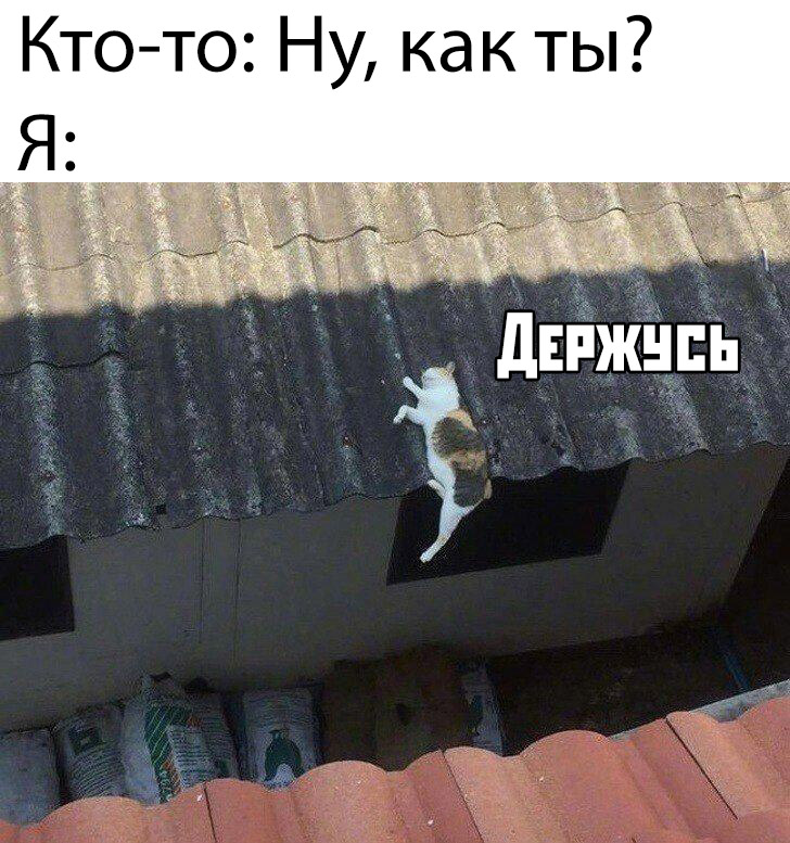 Прикольчики