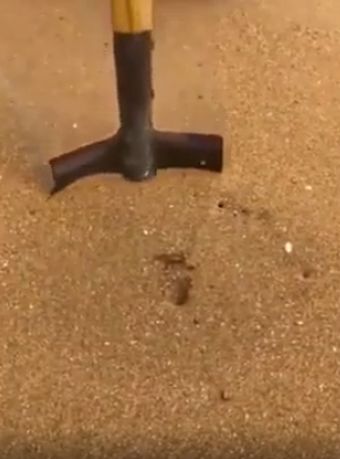 Что скрывает пляжный песок