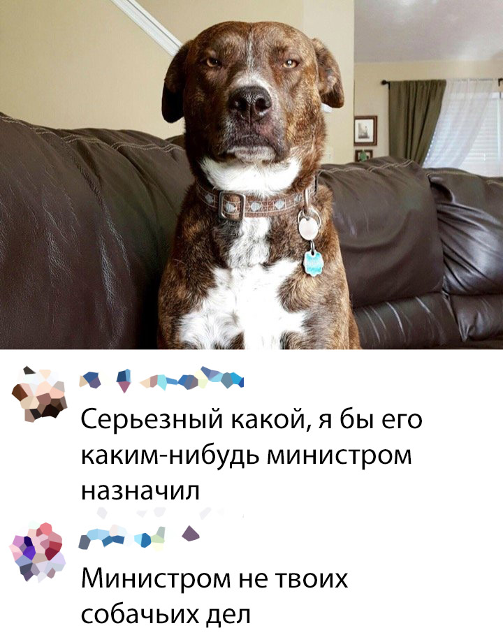 Прикольчики