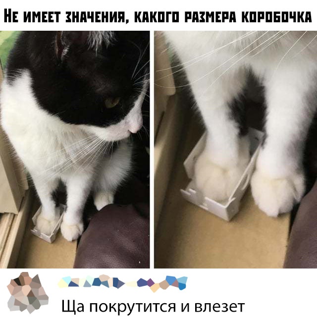 Прикольчики