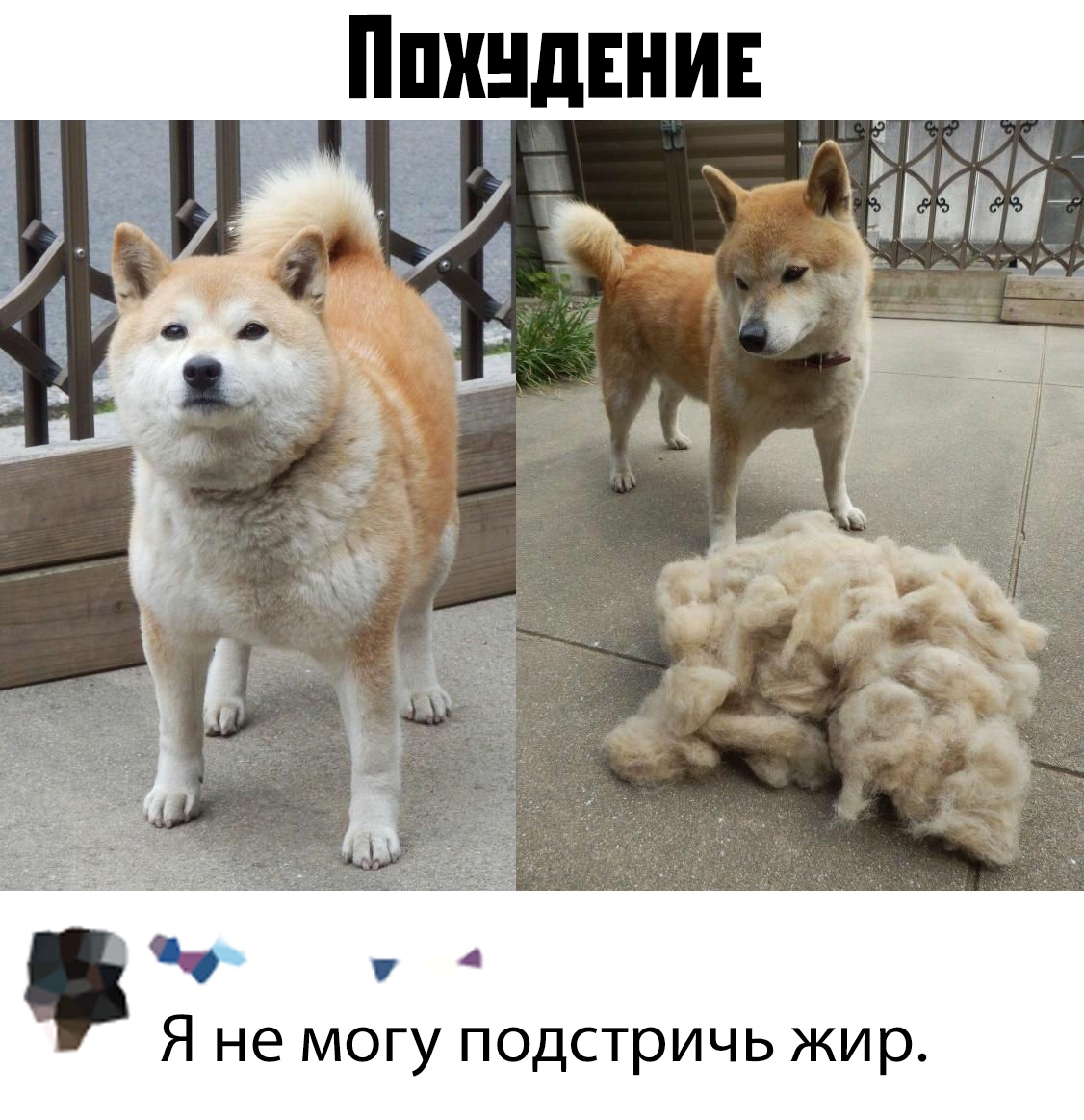 Прикольчики