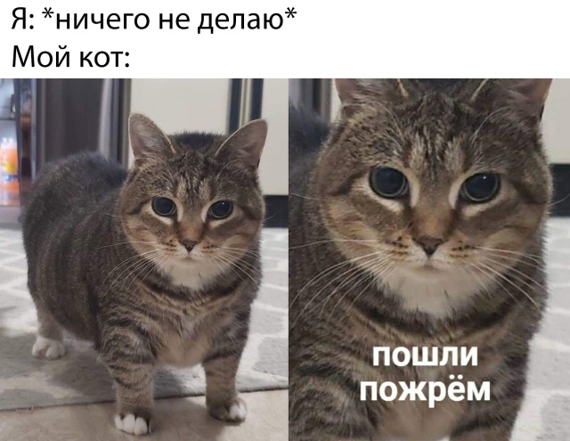 Прикольчики