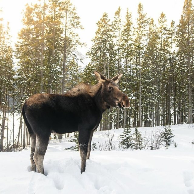 Подборка красивых снимков от фотографа-путешественника Джека Фуско