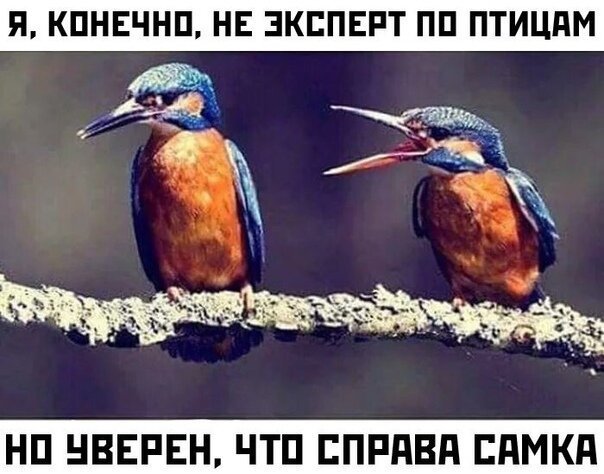 Прикольчики