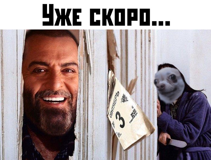 Прикольчики