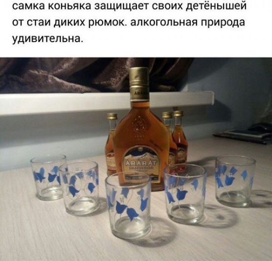 Алкопост