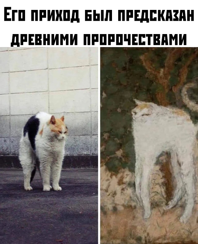 Прикольчики