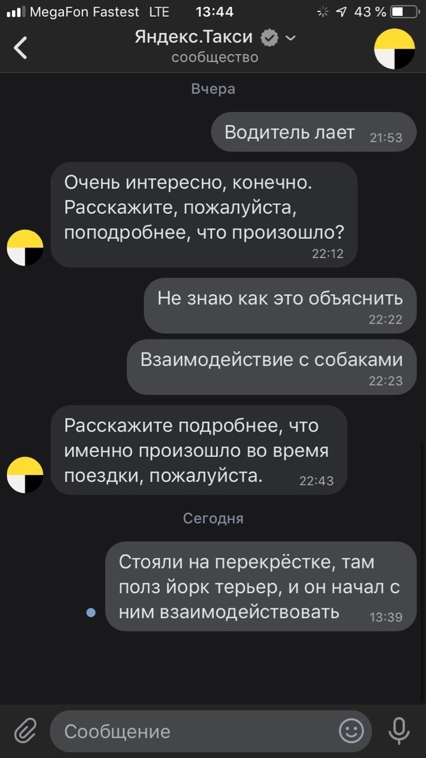 Прикольчики