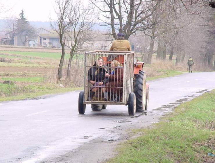 Прикольчики