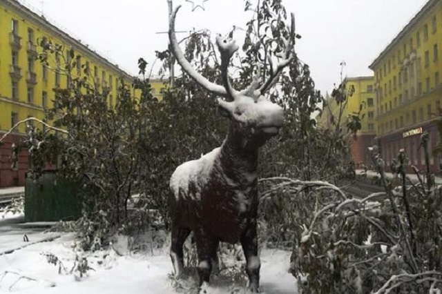 С первым снегом, Норильск!