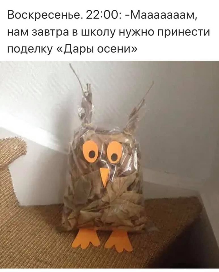 Прикольчики