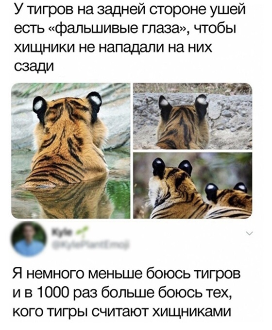 Прикольчики