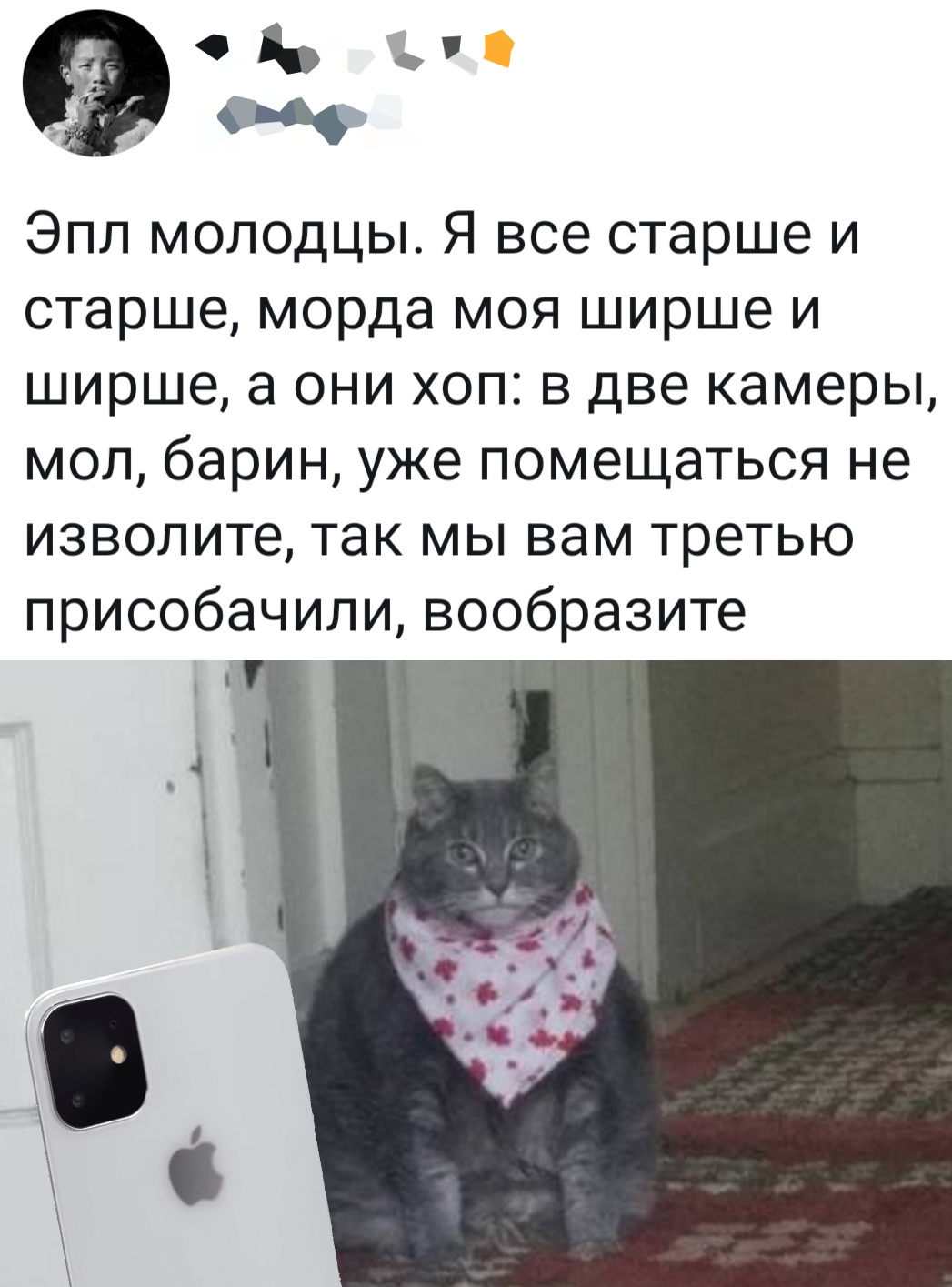 Прикольчики