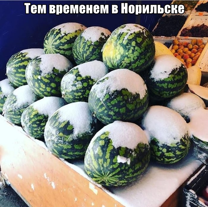 Прикольчики