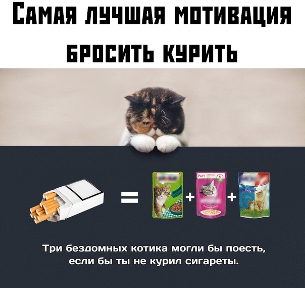 Прикольчики