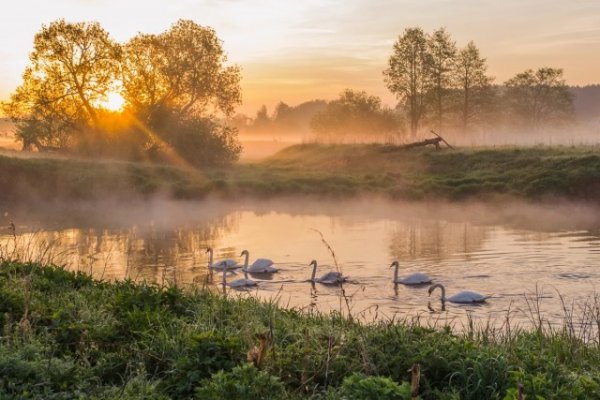 Каникулы в деревне