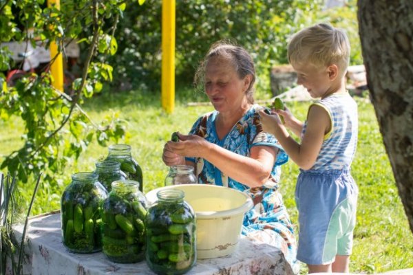 Каникулы в деревне