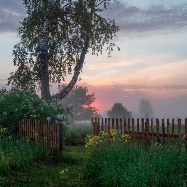 Каникулы в деревне