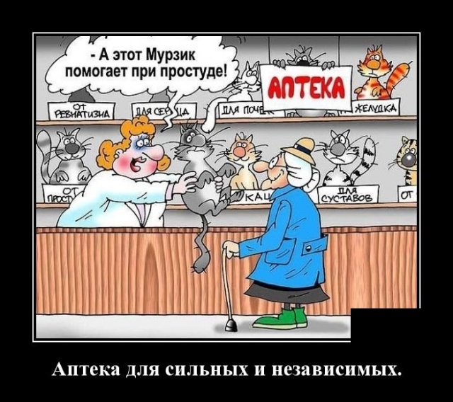 Демотиваторы